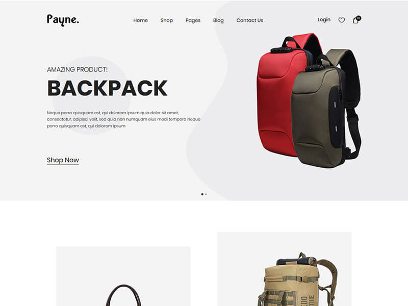 Payne - Backpack eCommerce HTML Template