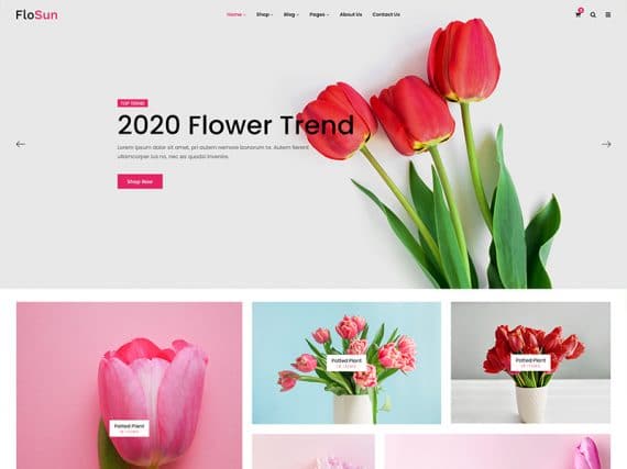 FloSun - Flower Shop HTML5 Template